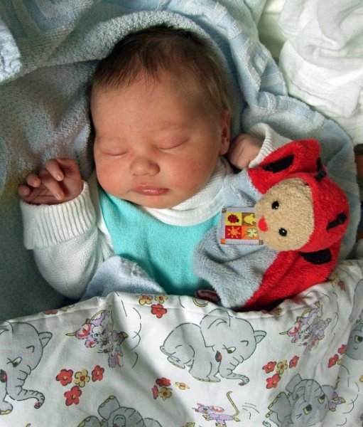 DSCF3052_1.jpg - Relaxen mit Tabeas Kuschelkäfer