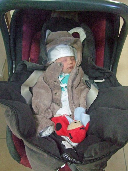 DSCF3089.JPG - Zu Hause angekommen.