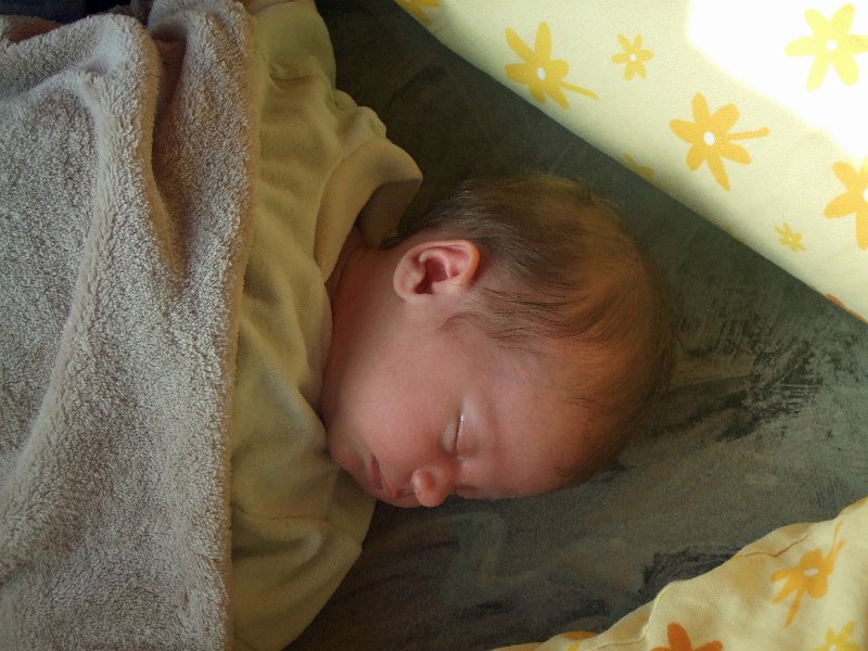 DSCF3127.JPG - Auf dem Sofa schläft es sich so schön eingekuschelt auch prima