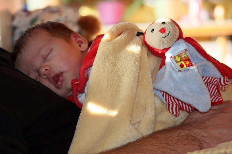 IMG_7148.JPG - Mit dem Käferchen von Tabea schläft es sich besonders gut auf Papas Bauch