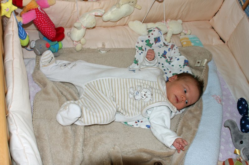 IMG_7251.JPG - Guck mal, wie groß ich schon bin!