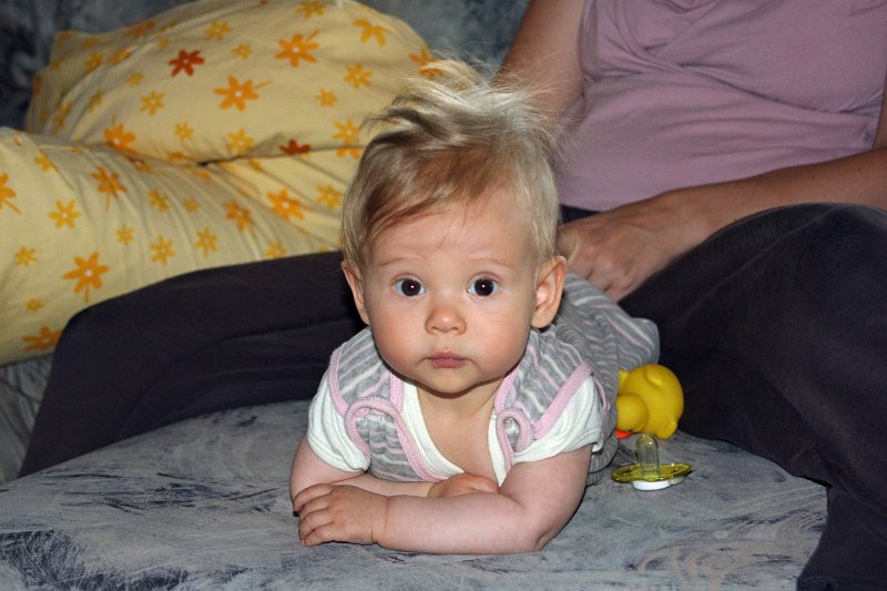 IMG_8015.JPG - Ich mach kuckuck...und was machst Du?