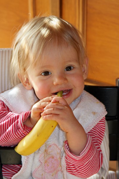 IMG_9099.JPG - Banane ist doch sonst nicht so hart zum Essen...