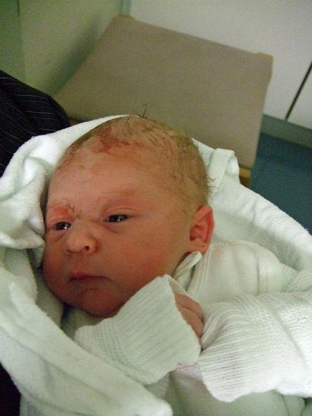 DSCF2161.JPG - Neugierige Blicke in die "neue Welt"