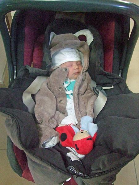 DSCF3089.JPG - Zu Hause angekommen.