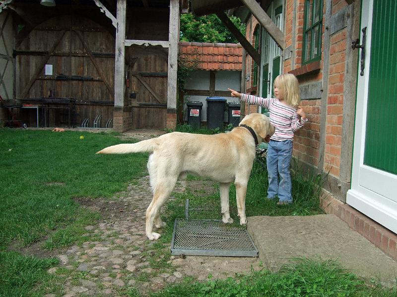 DSCF3922.JPG - Hier hab ich das Sagen...und er hat dank Leckerli sogar gehorcht.