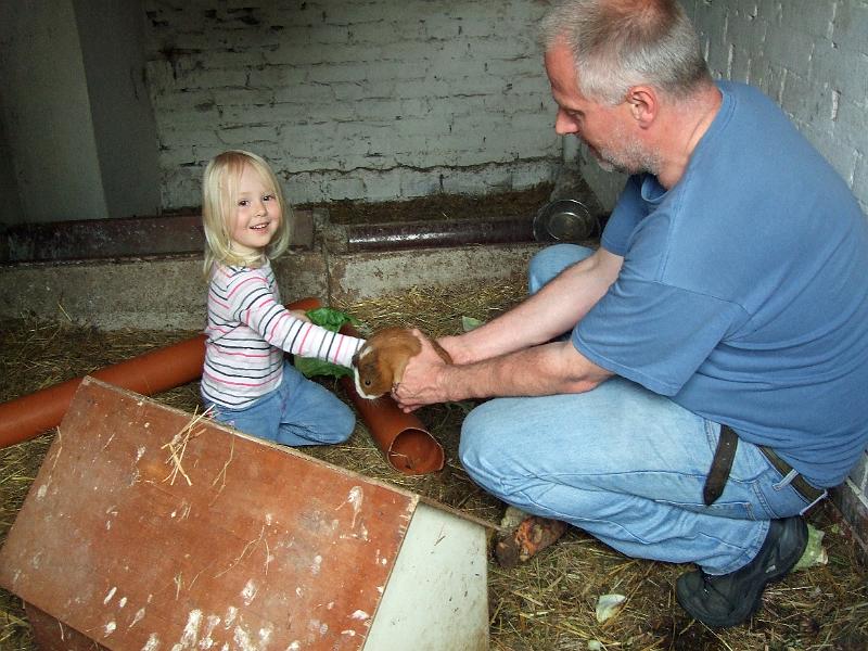 DSCF3928.JPG - Die Meerschweinchen sind ganz kuschelig weich.