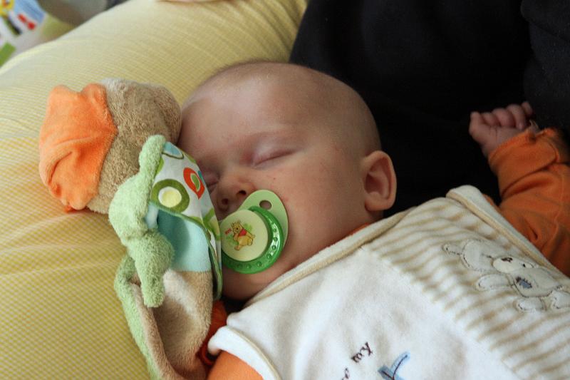 IMG_3490.JPG - so schläft es sich prima