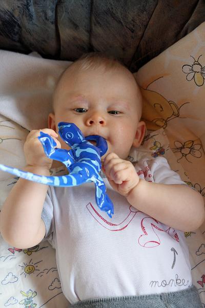 IMG_3696.JPG - alles muss ganz genau untersucht werden!!