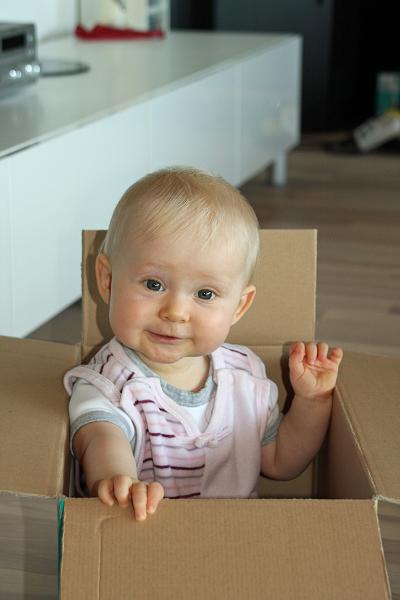 IMG_4095.JPG - Kuckuck!