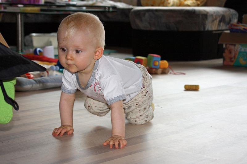 IMG_4254.JPG - Ich kann jetzt krabbeln....und die Welt entdecken