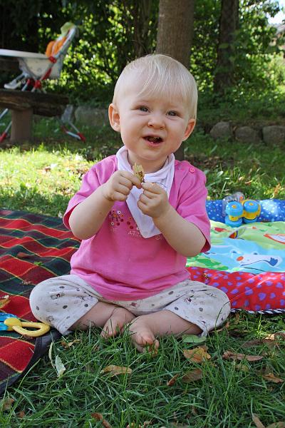 IMG_4494.JPG - Mein neuestes Hobby: "Wiese schreddern"