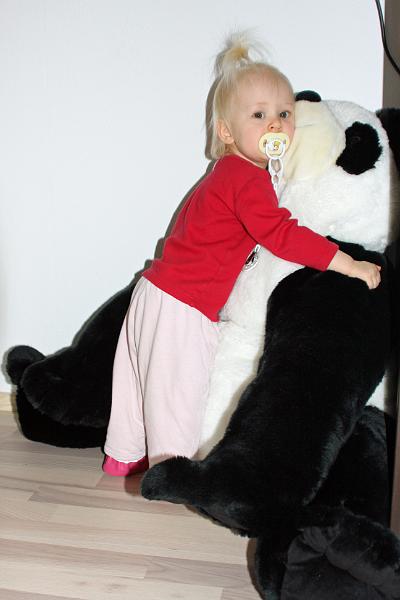 IMG_5846.JPG - Mein großer Panda ist super!