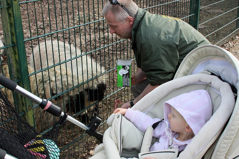 IMG_5914.JPG - Ein Besuch im Tierpark macht Spaß und es gibt viel zu entdecken.