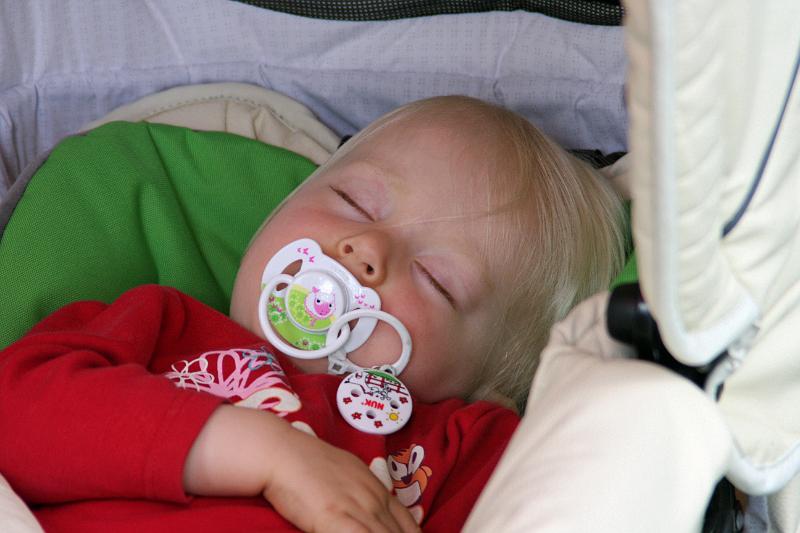 IMG_6031.JPG - Nichts geht über eine gepflegte Siesta