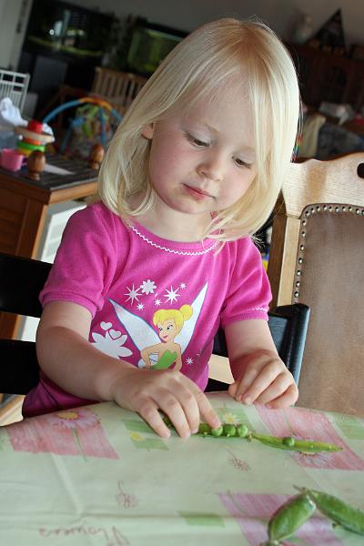 IMG_8134.JPG - Wehe es sagt jemand "Erbsenzähler" zu mir...