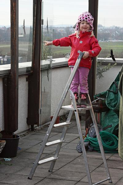 IMG_9215.JPG - So kann ich endlich mal über die Mauer schauen :-)